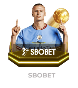 We88 sport